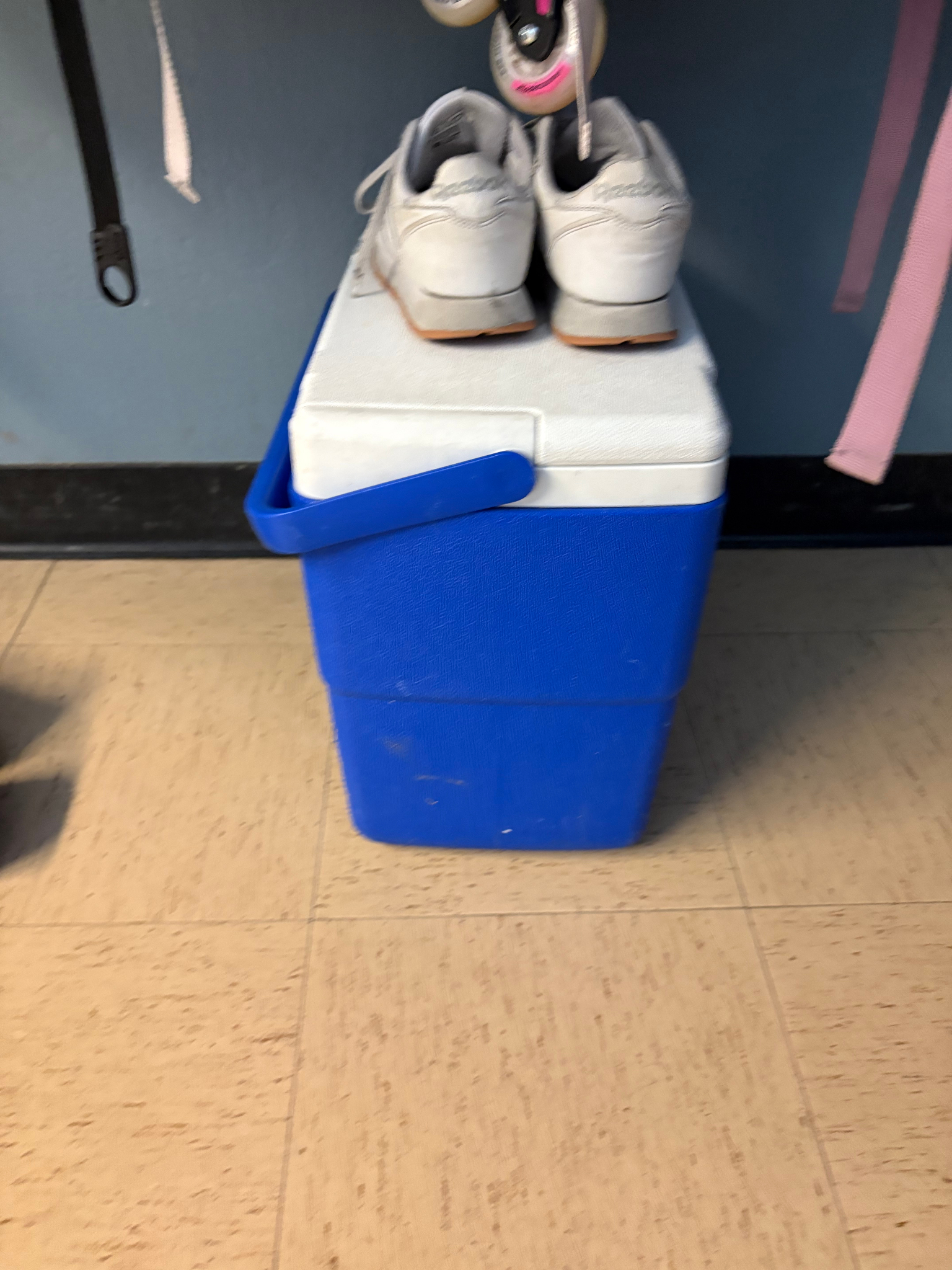 IMG 3327